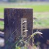 Balustrade of a bridge 
