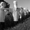 Scarecrows (案山子, 白黒)