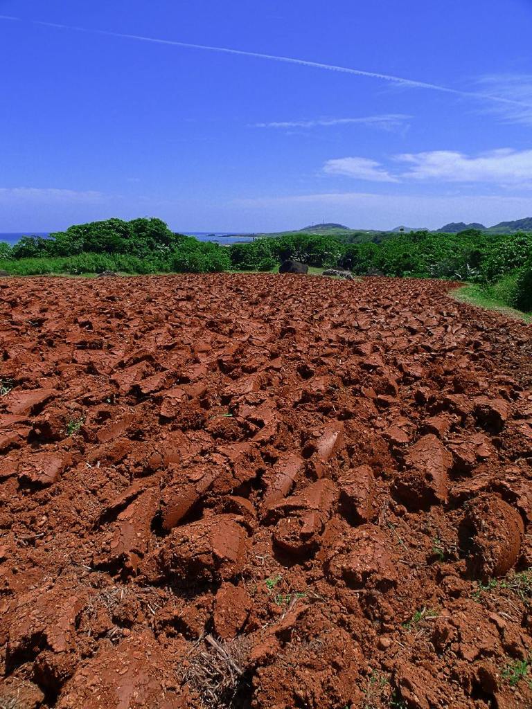 Ferrosoil (赤土)