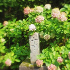 十丁 in 恐山 