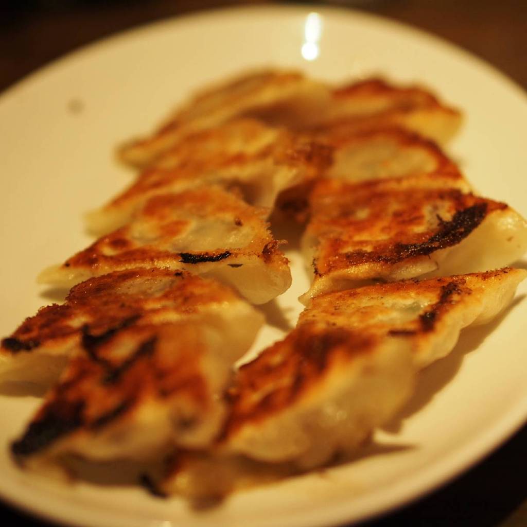 "GYOZA" dumplings