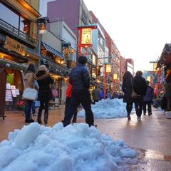 Snowed yesterday in ASAKUSA 