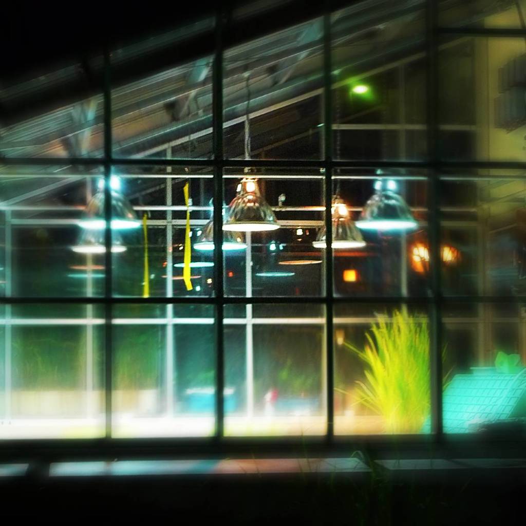 Growth lamps