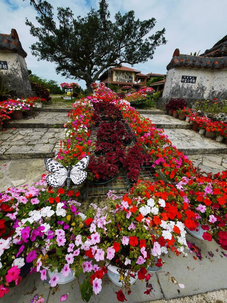 School entrance with flower