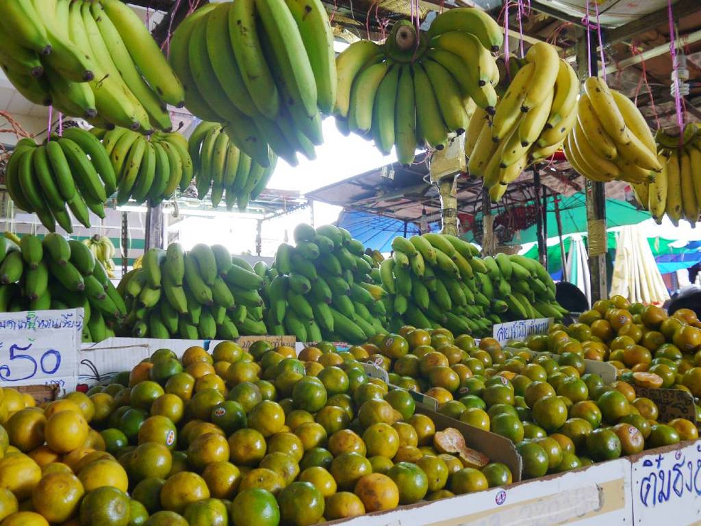 Banana & Mandarin Orange (Khon Kaen)
