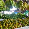 Banana & Mandarin Orange (Khon Kaen)