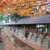 お地蔵さんがたくさん並んでいます
