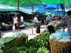 Umbrellas, Khlong toei market 