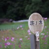 Busstop in Umenoki (Plum tree) district