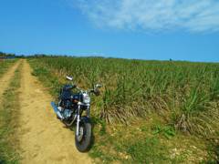 HONDA Phantom200 in Ishigaki island