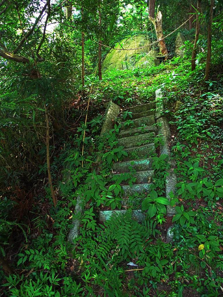 Stone steps towards old shrine