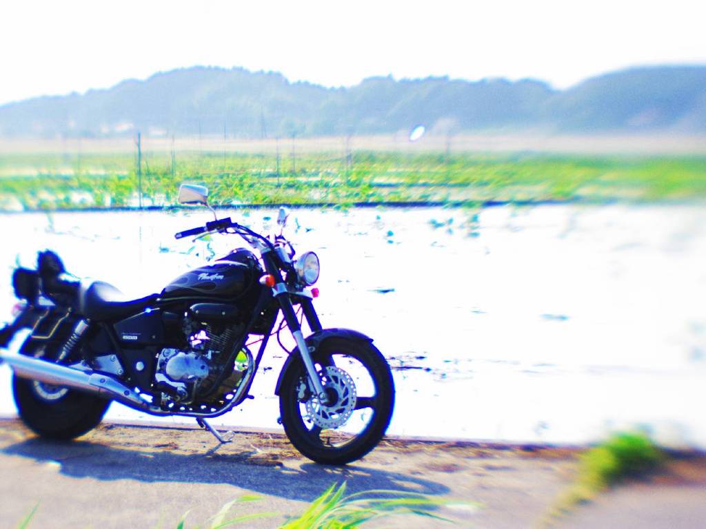 HONDA Phantom200