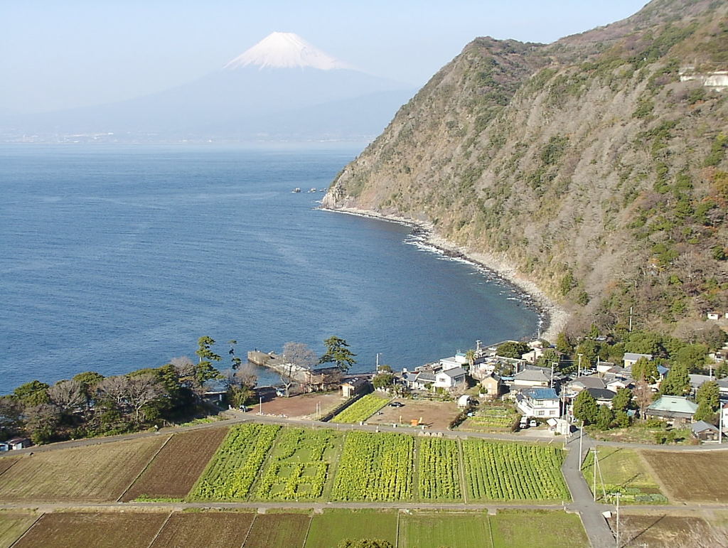 井田村から富士山を望む
