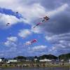 Kites festival