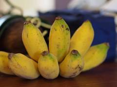 Thai-Banana (กล้วย)