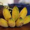 Thai-Banana (กล้วย)