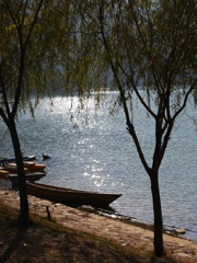 Phewa lake