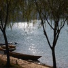 Phewa lake