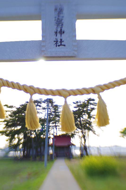 SHIOGAMA shrine repaired after TSUNAMI