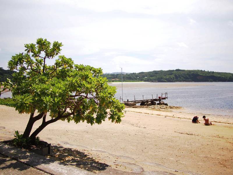 Seashore