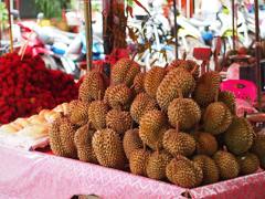 ทุเรียน (Durian)