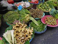 Vegetables (Khon Kaen)