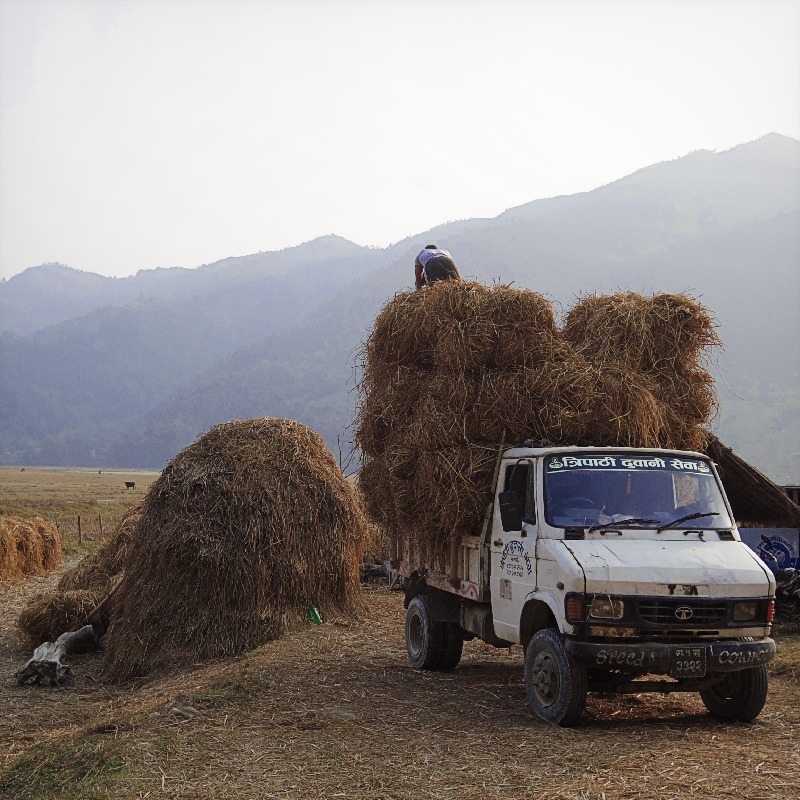 Hay collection