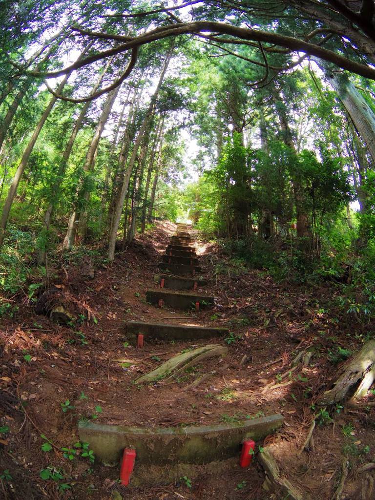 Way upto YASAKA shrine (八坂神社)