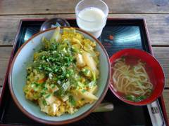 TOFU rice bowl