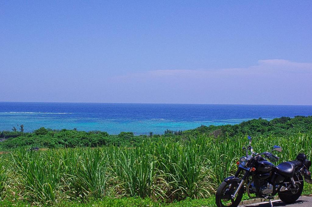 Sugarcane & HONDA Phantom200