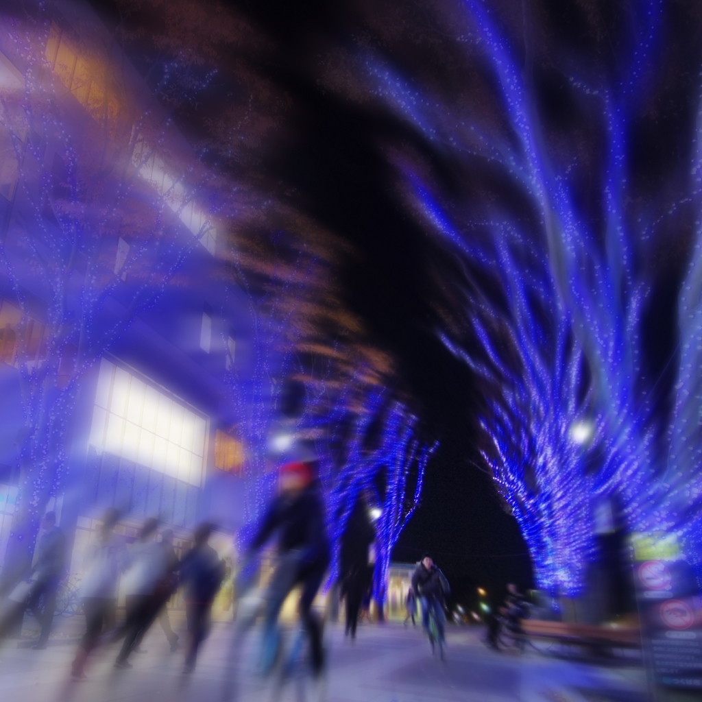 Tsukuba-city in December