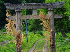 TRII(shrine gate)