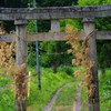 TRII(shrine gate)