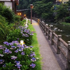 Walking path along OJIKAGAWA river