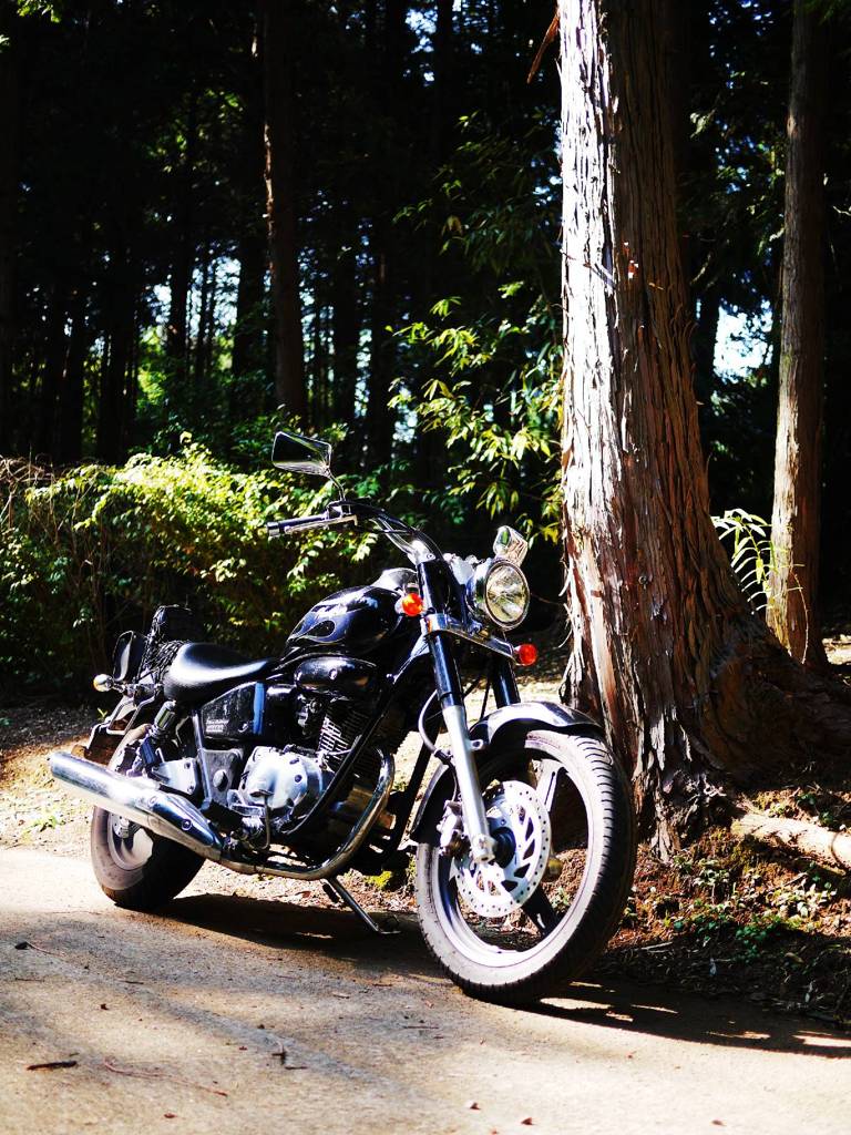 HONDA Phantom200