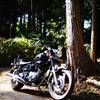 HONDA Phantom200