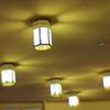 Ceiling lamps (Yokosuka railway station,