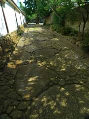 "KOMOREBI" on stone pavement