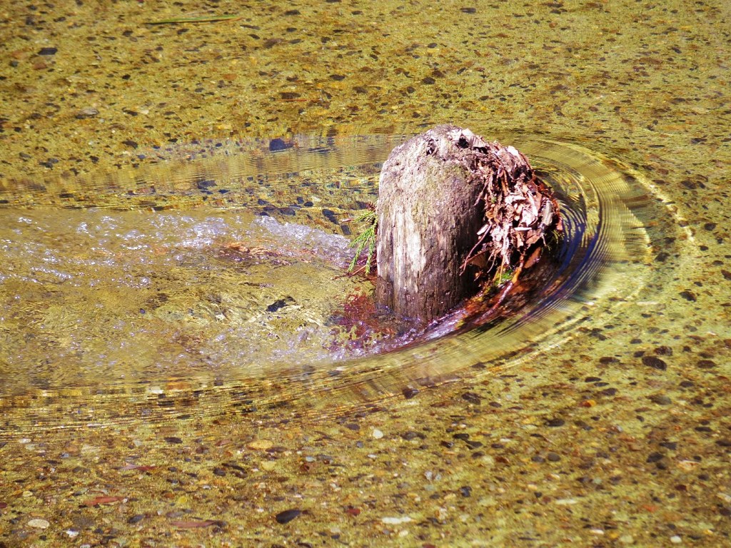 Surface of KINU river 