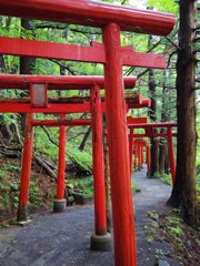 Way upto MANZOUINARI-shrine (萬蔵稲荷神社)