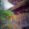 ナナカマド（七竃）