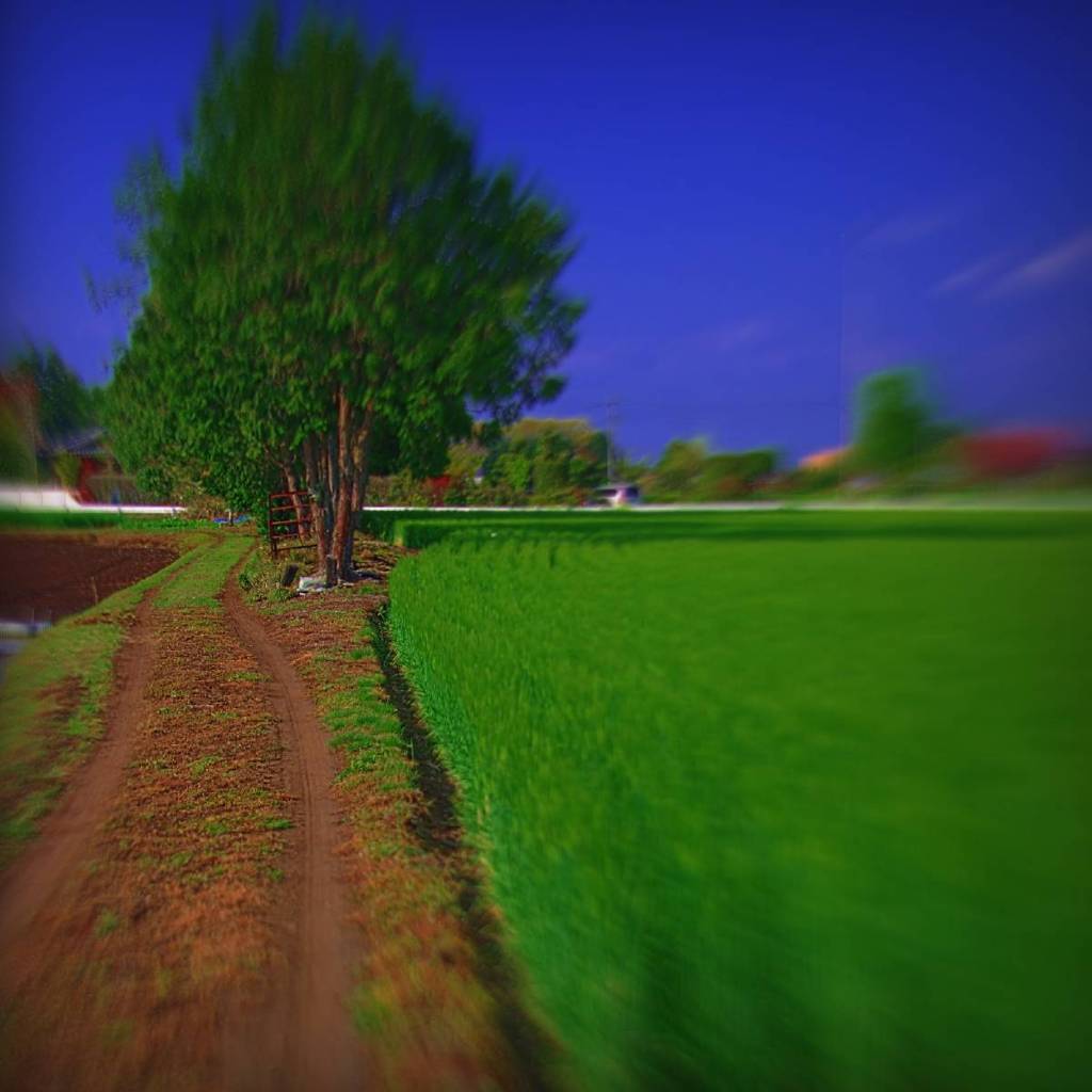 Country road