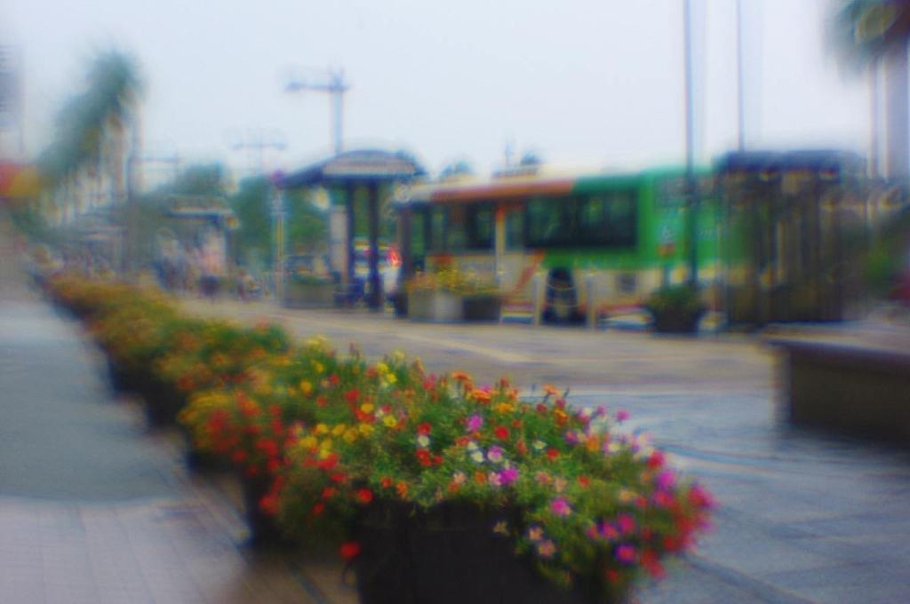 Flower pots  (Lensbaby, Plastic-optic)