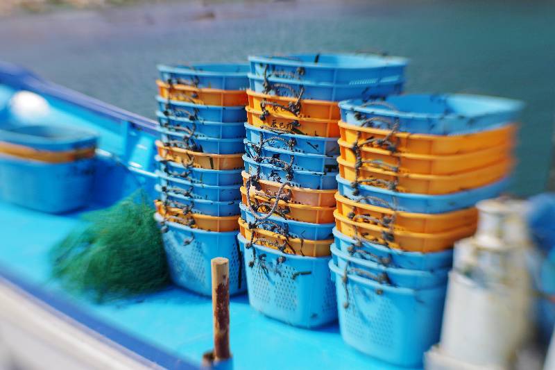 Baskets of fishery (UTATSU, 歌津町)