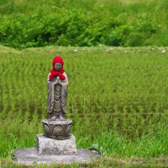 JIZO(Ksitigarbha) beside rice field