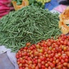 Snap beans and tomatos