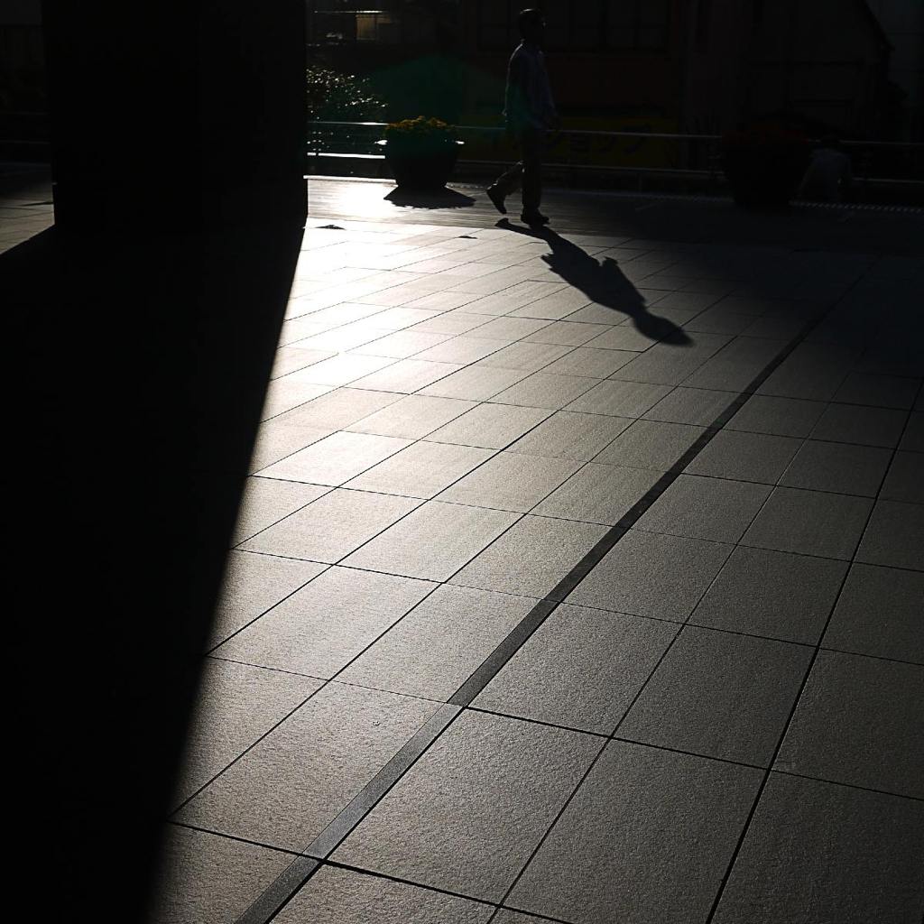 Light & Shadow