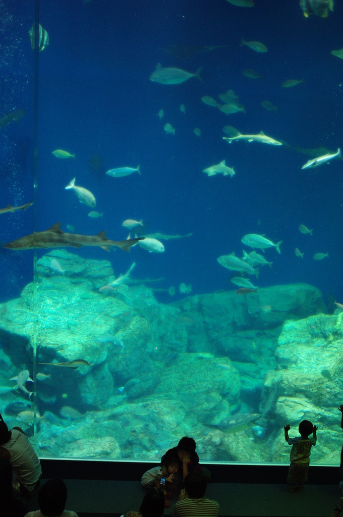 水族館