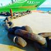 Chain for ship