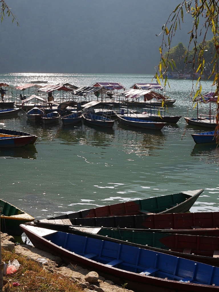 Phewa lake